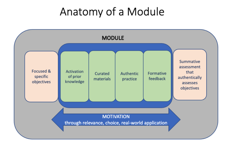 Creating Manageable and Flexible Learning Pathways With Modularization ...