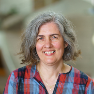 Flipping The Large Class Center For Advancing Teaching And Learning